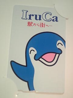 記念IruCa